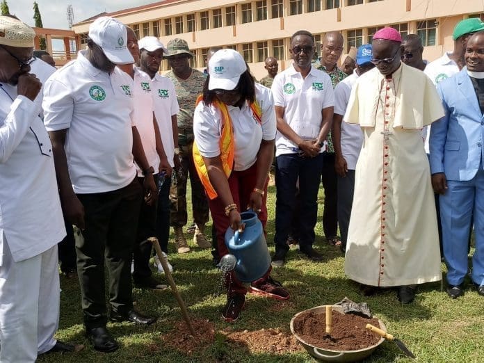 Environment Trees Day
