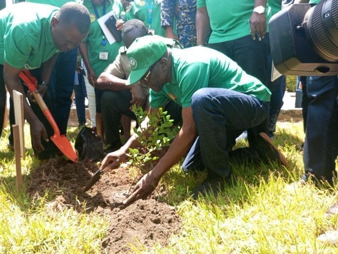 Politics Speaker Trees