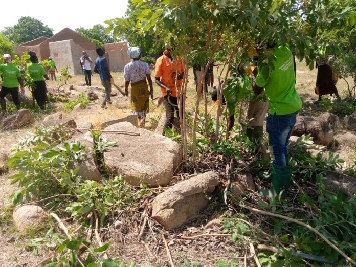 Social Trees Pruning