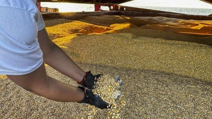 In this photo released by United Nations, a UN official of the Joint Coordination Centre carries out an inspection on board of the bulk cargo ship TQ Samsun, which traveled from Odessa, Ukraine, loaded with grain, while is anchored in the Black Sea, near the entrance of the Bosphorus Strait in Istanbul on July 17, 2023. (PHOTO / AP)