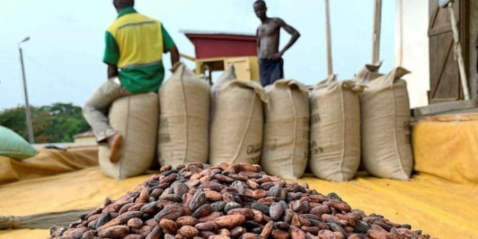 Ghana Cocoa