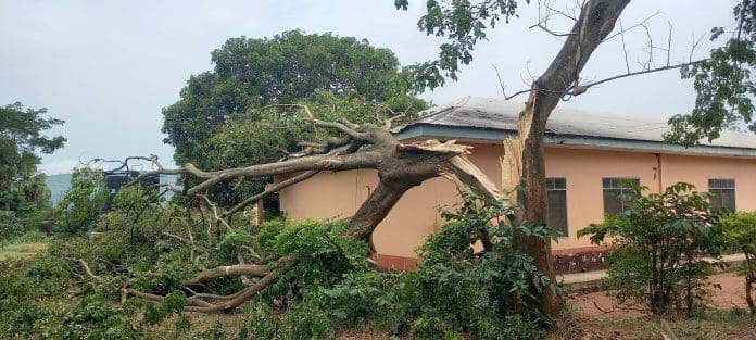 Education Hepss Damage