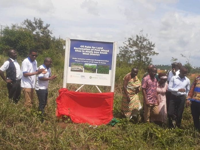 Social Launching Plantation