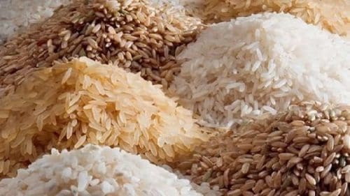Rice Rice