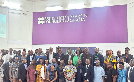 Imp Imp