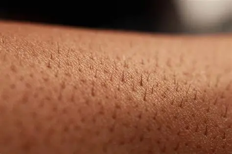 Skin Skin