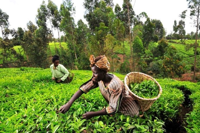 Agricultural
