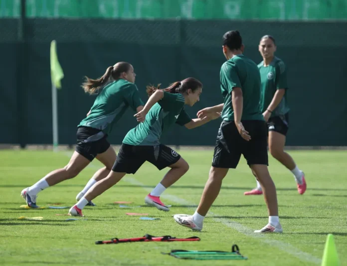 Algeria’s Defense Algeria’s Defense