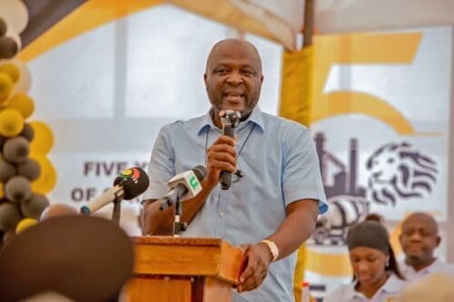 Dzata Cement targets top spot after five years