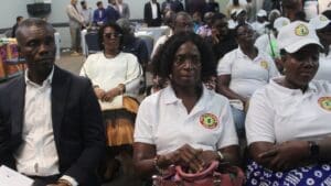 Some Participants At The Engagement